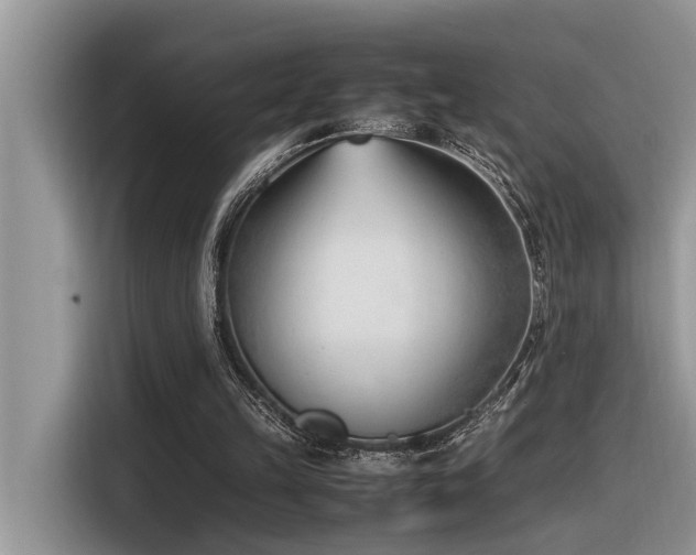 X0000116330149200912011139