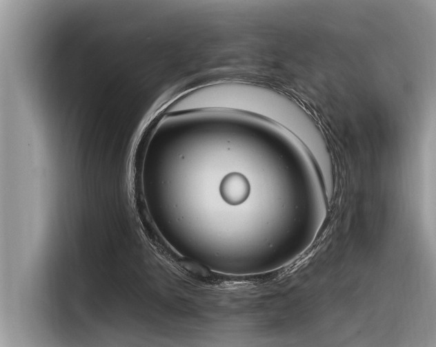 X0000116330150200912011139