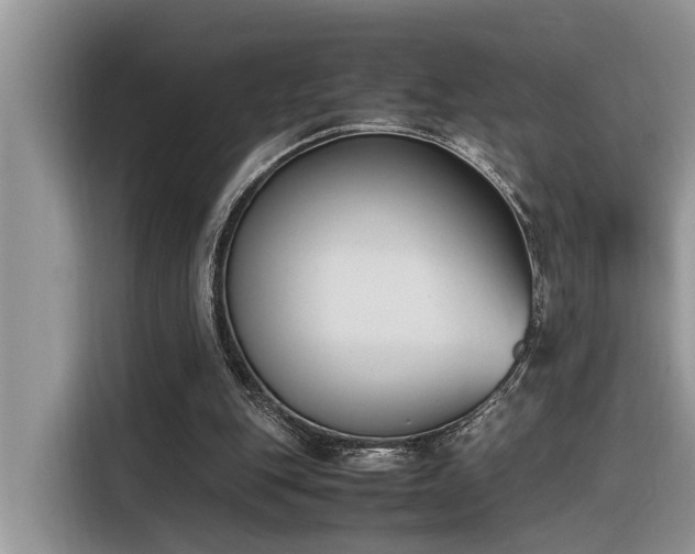 X0000116330151200912011139