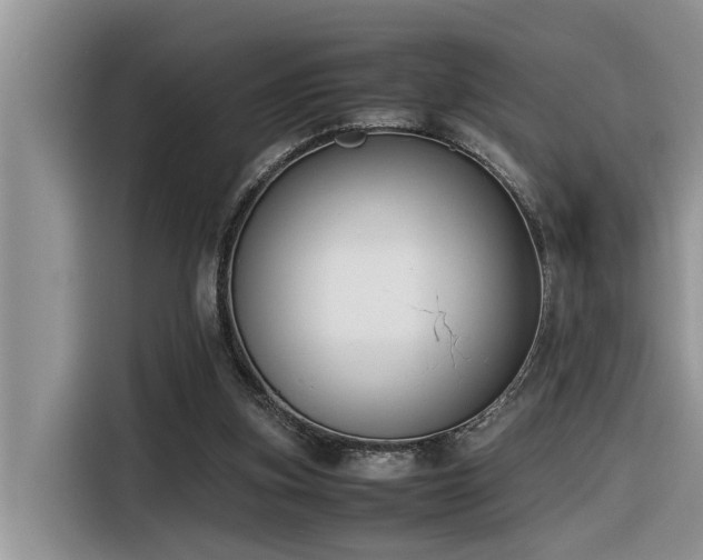X0000116330155200912011139