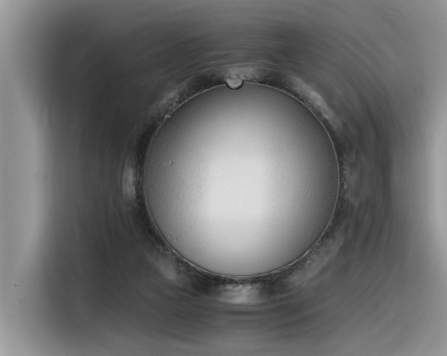 X0000116330161200912011139