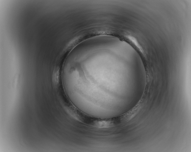 X0000116330163200912011139