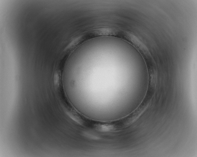 X0000116330165200912011139