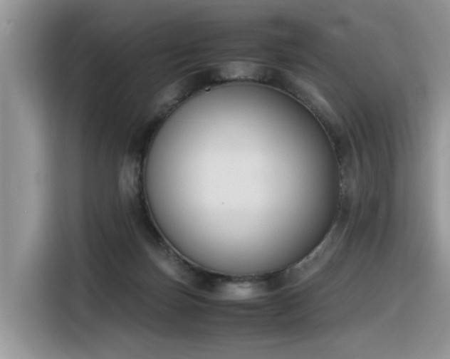 X0000116330171200912011139