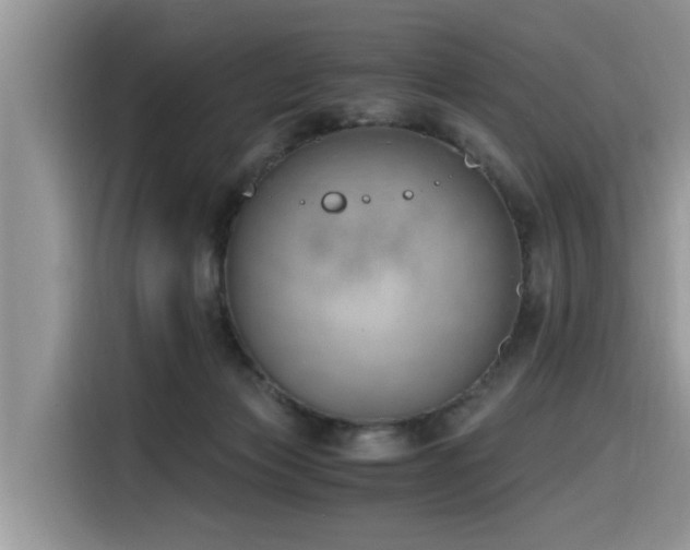 X0000116330173200912011140