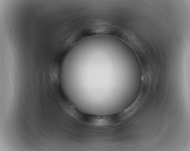 X0000116330175200912011140