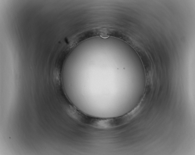 X0000116330178200912011140