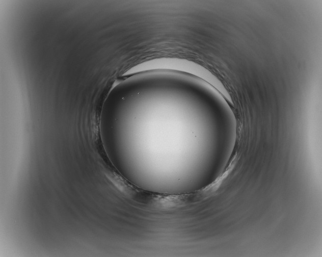 X0000116330186200912011140