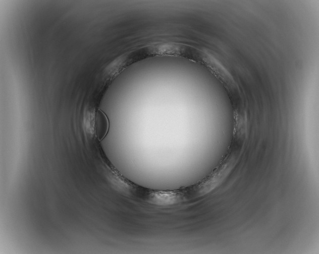 X0000116330189200912011140