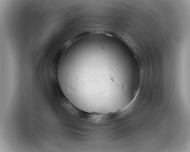 X0000116330190200912011140