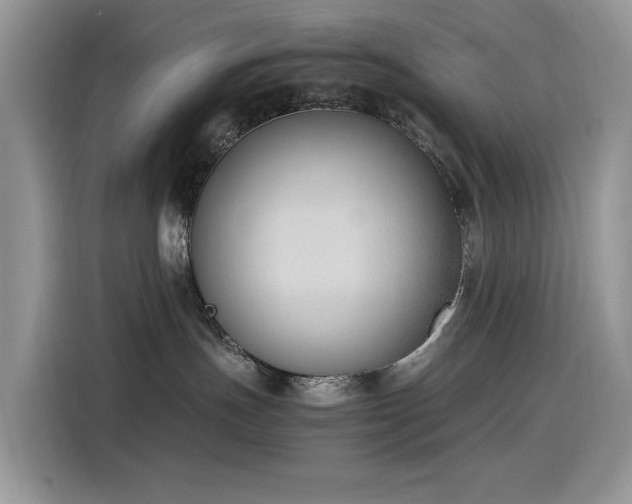 X0000116330191200912011140