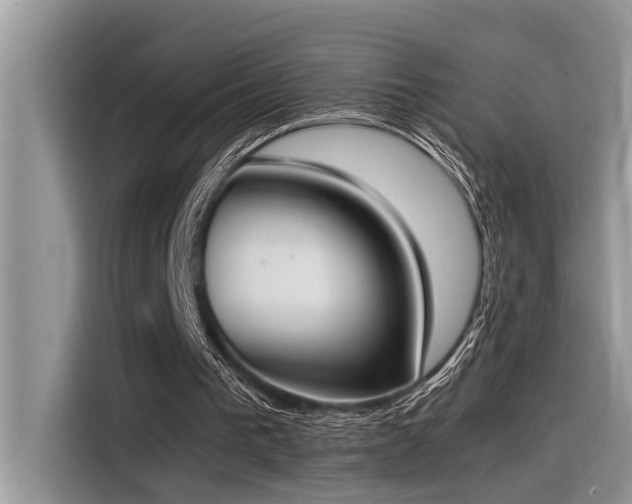 X0000116330193200912011139