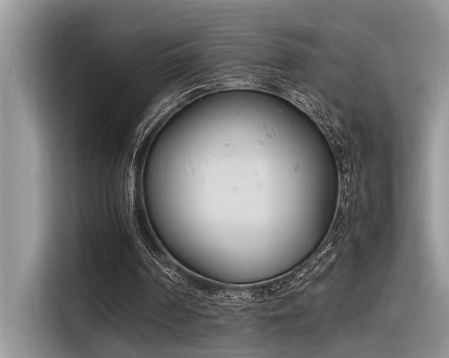 X0000116330194200912011139