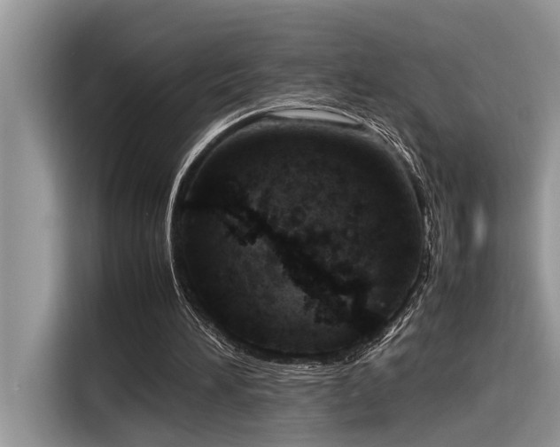 X0000116330196200912011139