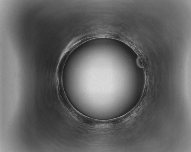X0000116330198200912011139