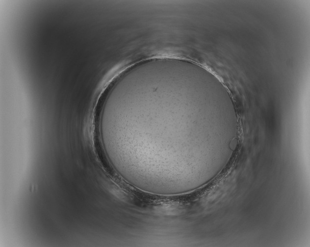 X0000116330199200912011139
