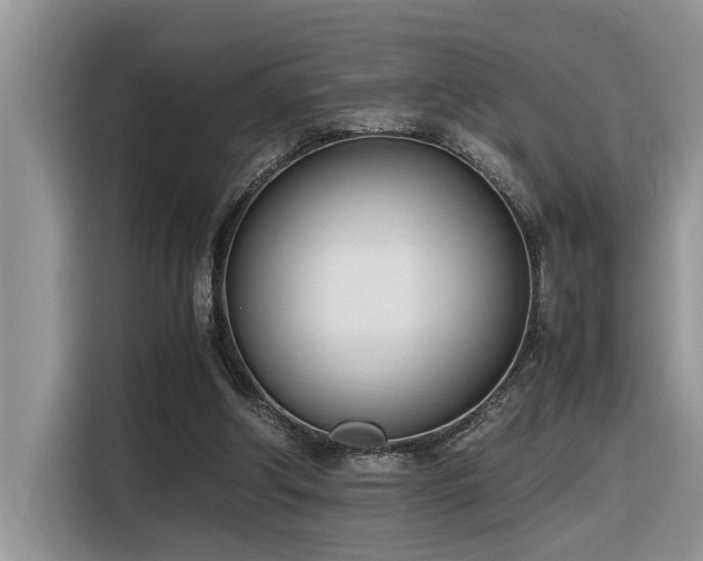 X0000116330202200912011139