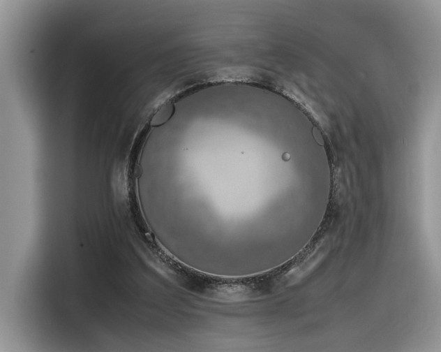 X0000116330203200912011139