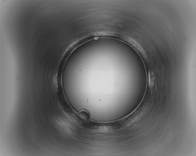 X0000116330204200912011139