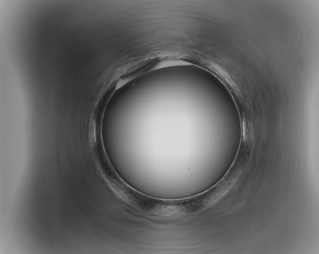 X0000116330205200912011139