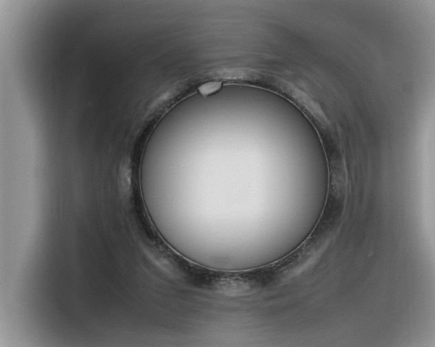 X0000116330207200912011139
