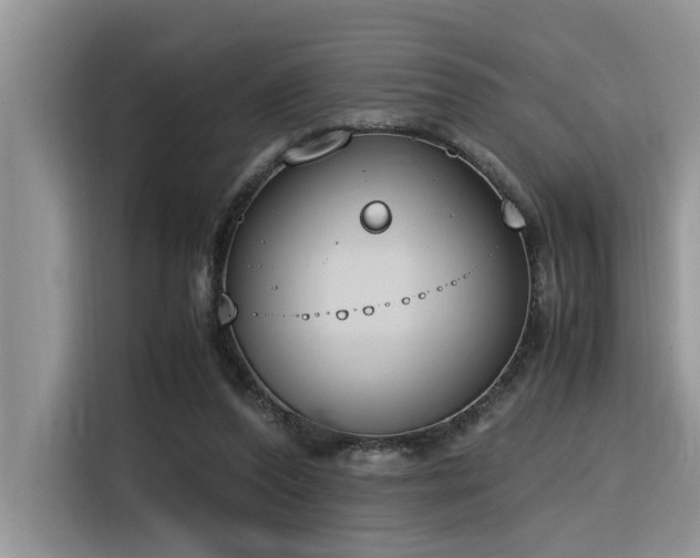 X0000116330208200912011139