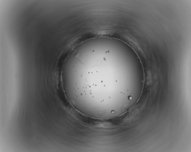 X0000116330210200912011139