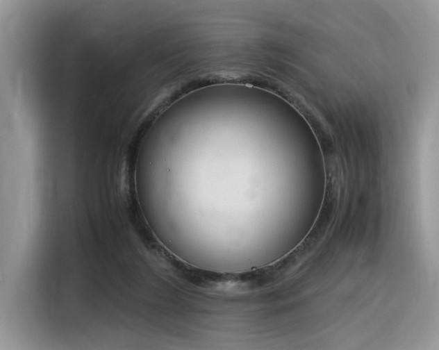 X0000116330212200912011139