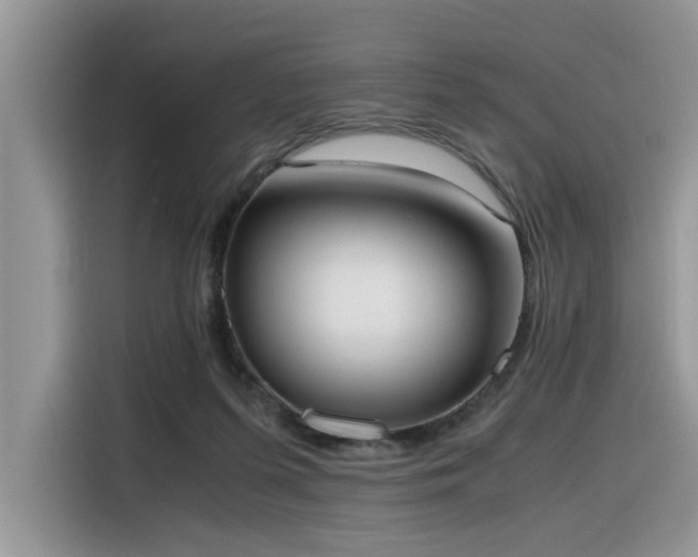 X0000116330215200912011139
