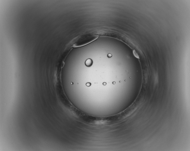 X0000116330216200912011139