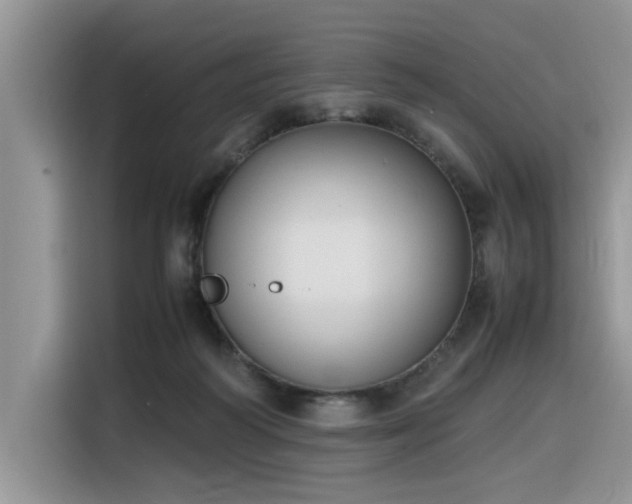 X0000116330218200912011139