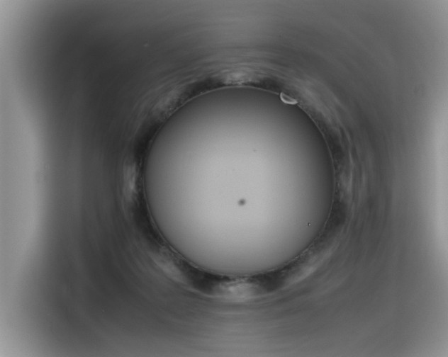 X0000116330219200912011139