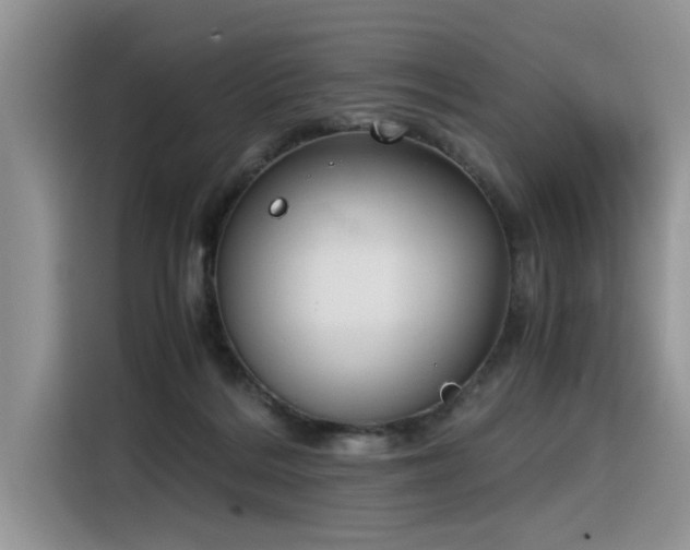 X0000116330220200912011139