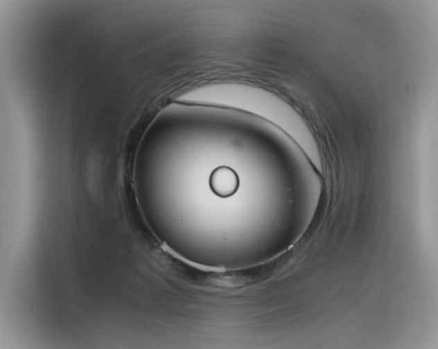 X0000116330221200912011139