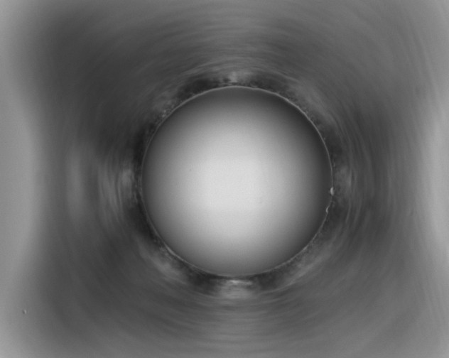 X0000116330222200912011139