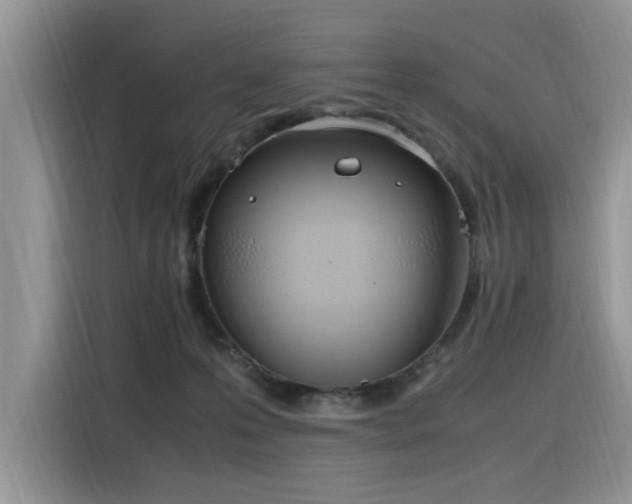 X0000116330223200912011139
