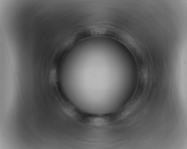 X0000116330224200912011139