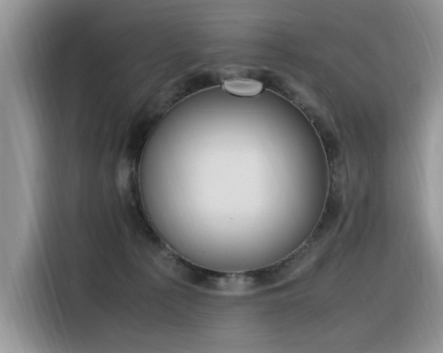 X0000116330225200912011139