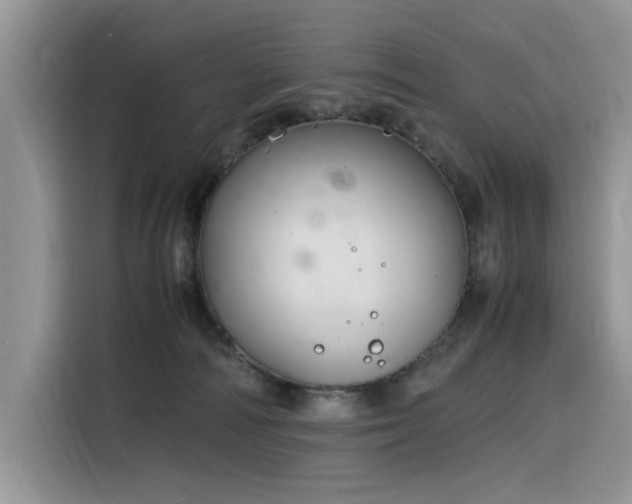 X0000116330226200912011139