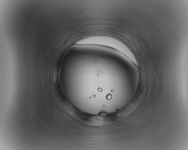 X0000116330227200912011139
