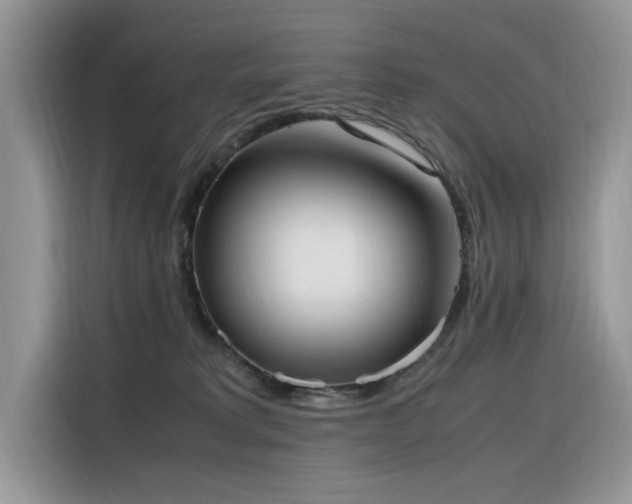 X0000116330229200912011139