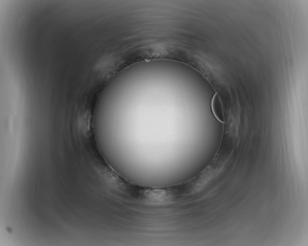 X0000116330230200912011139