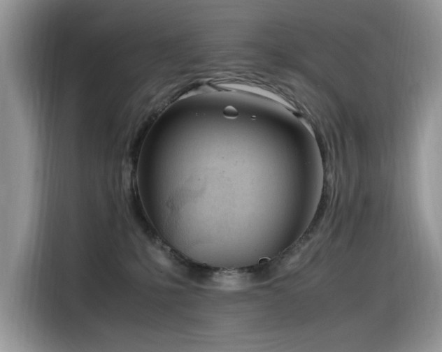 X0000116330231200912011139