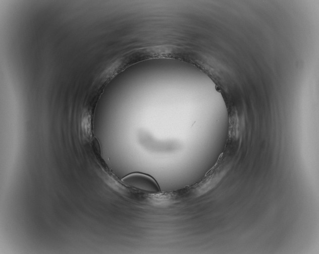 X0000116330238200912011139