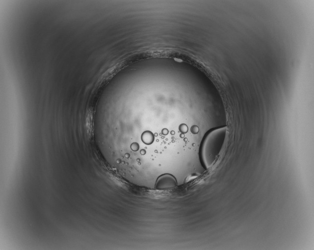 X0000116330240200912011139