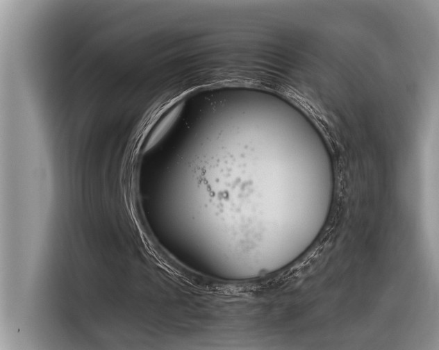 X0000116330241200912011138