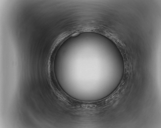 X0000116330242200912011138