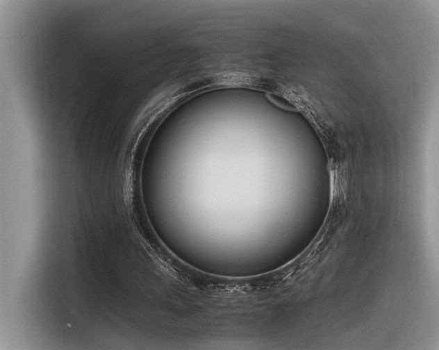 X0000116330243200912011138