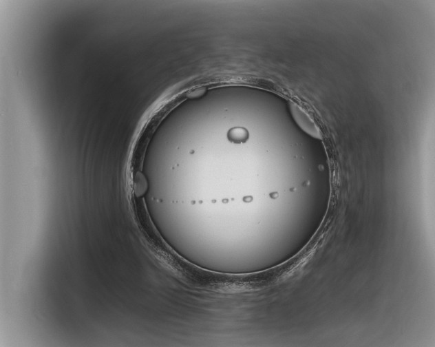 X0000116330246200912011138