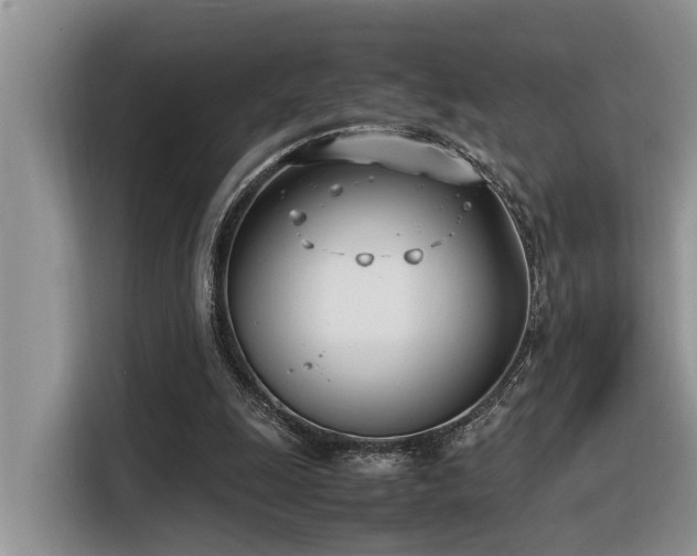 X0000116330247200912011138